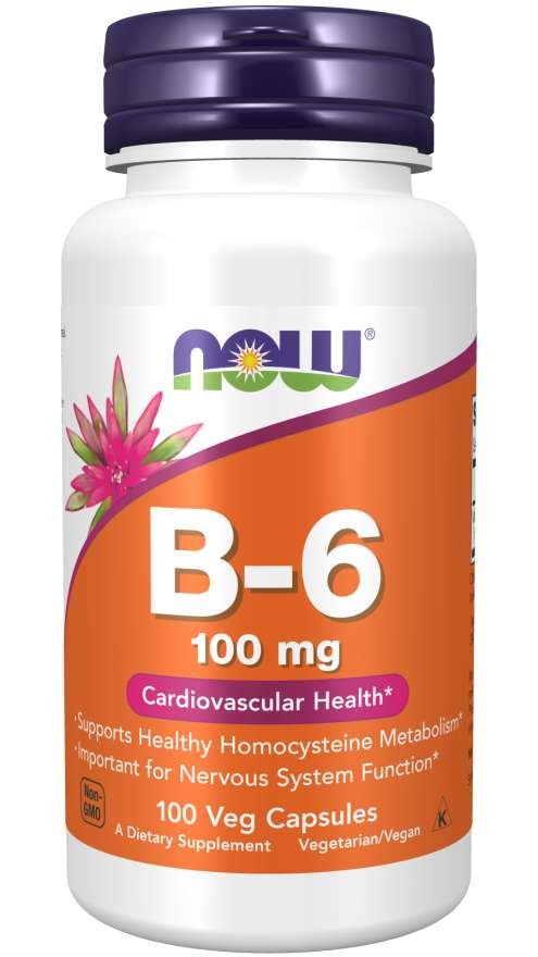 Vitamin B-6 100mg 100 Caps