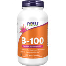 B-100 250 vcaps