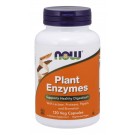 Plant enzymes 240 vcaps