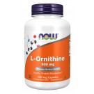 L-Ornithine 500 mg - 120 Caps