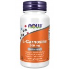 L -Carnosine 500 mg - 50 Vcaps ® 