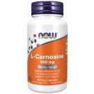 L-Carnosine 500 mg - 50 Vcaps ® 