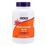 Pantothenic Acid 500 mg 250 vcaps B-Complex Vitamin  